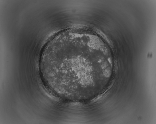 X0000090910203200708271011