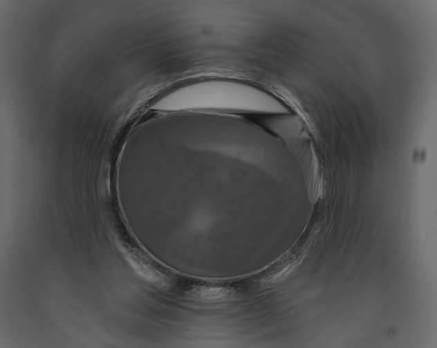 X0000090910205200708271011