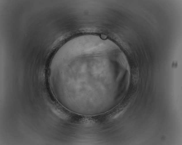 X0000090910207200708271011