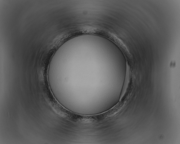 X0000090910209200708271011