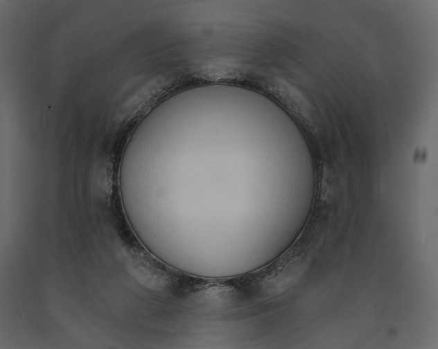 X0000090910210200708271011