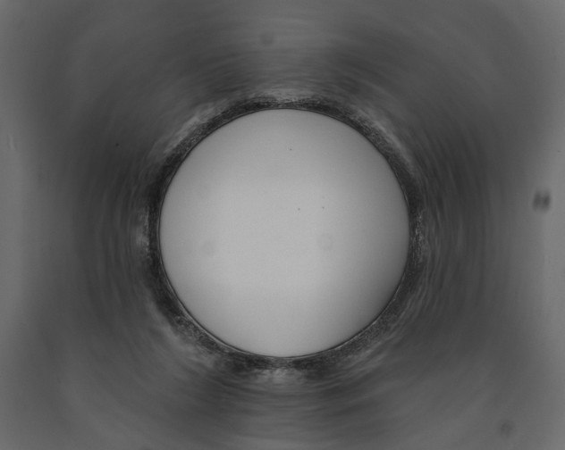 X0000090910212200708271011