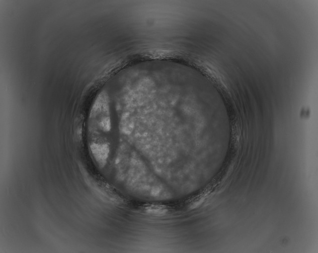 X0000090910214200708271011