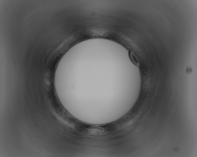 X0000090910215200708271011