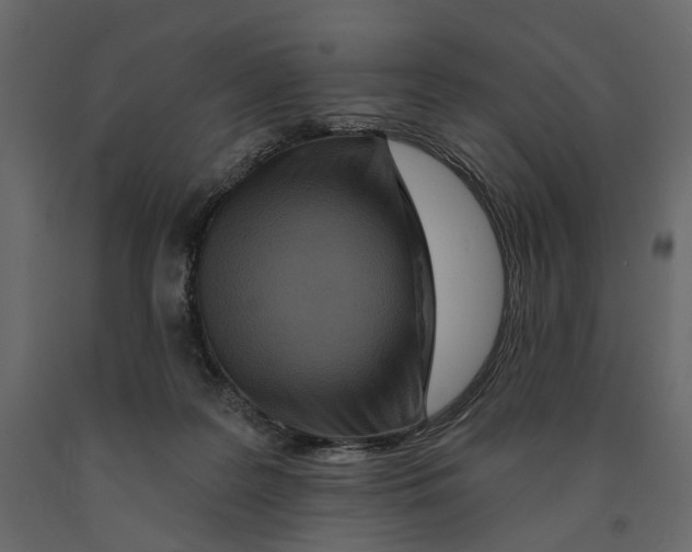 X0000090910219200708271011