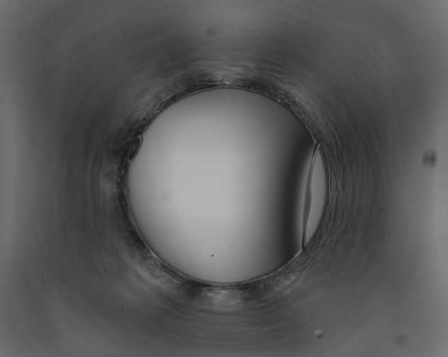 X0000090910221200708271011