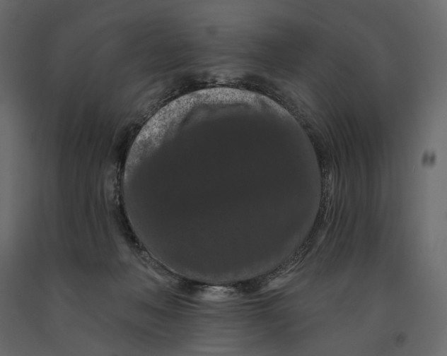 X0000090910222200708271011