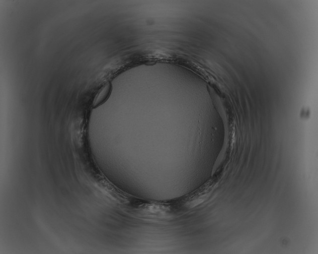 X0000090910223200708271011