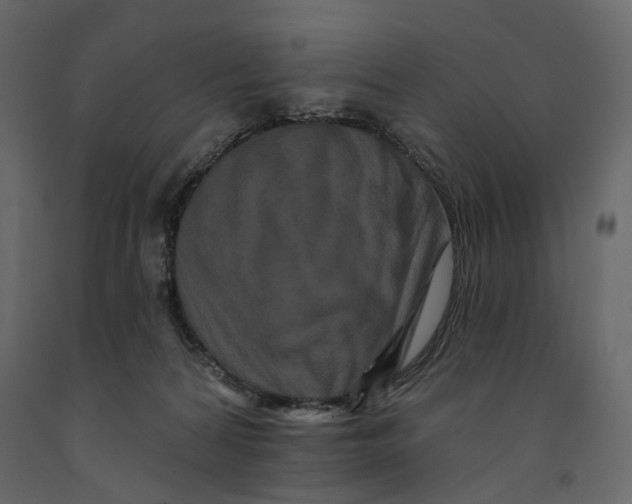 X0000090910224200708271011