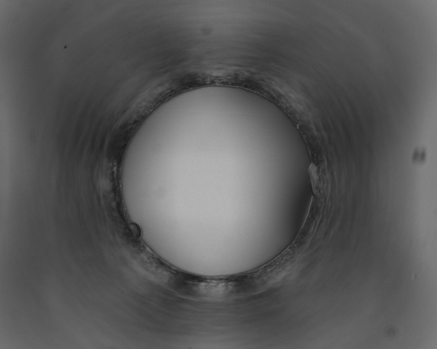 X0000090910225200708271011