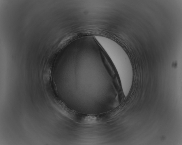 X0000090910227200708271011