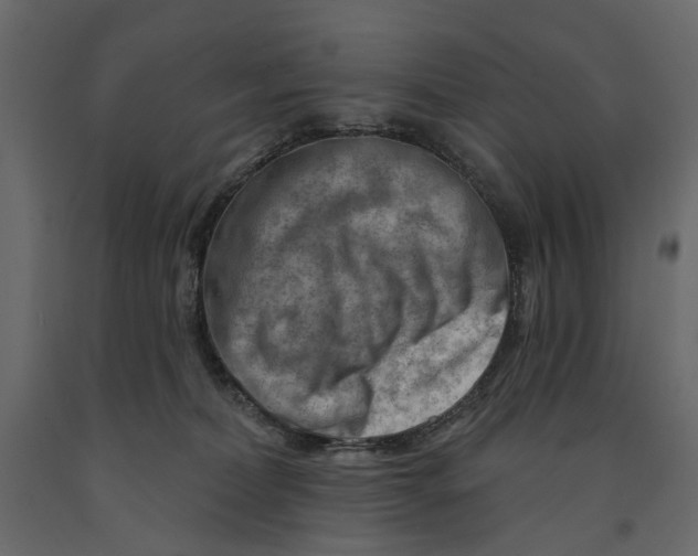 X0000090910228200708271011