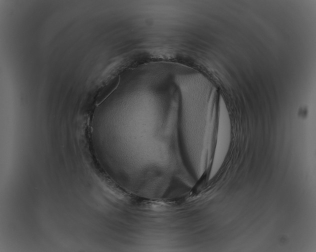 X0000090910229200708271011