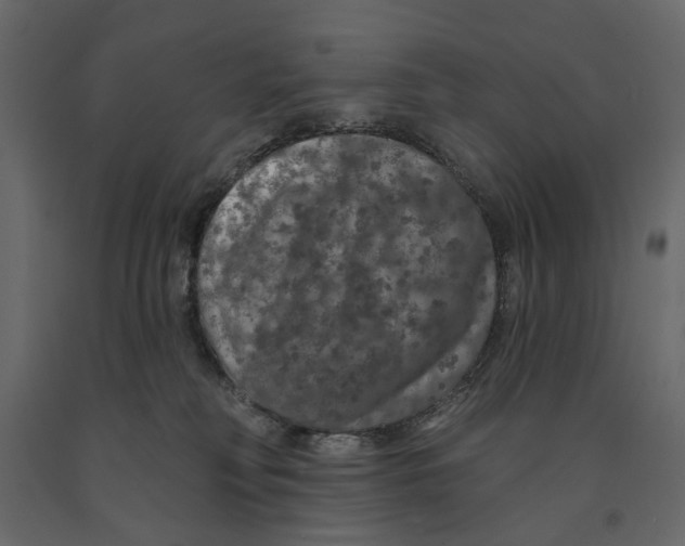 X0000090910230200708271011