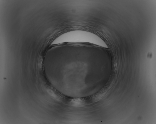 X0000090910231200708271011