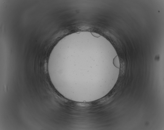 X0000090910234200708271011