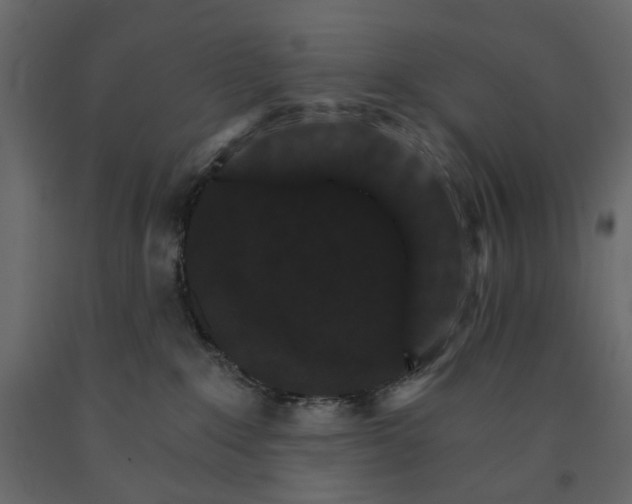 X0000090910235200708271011