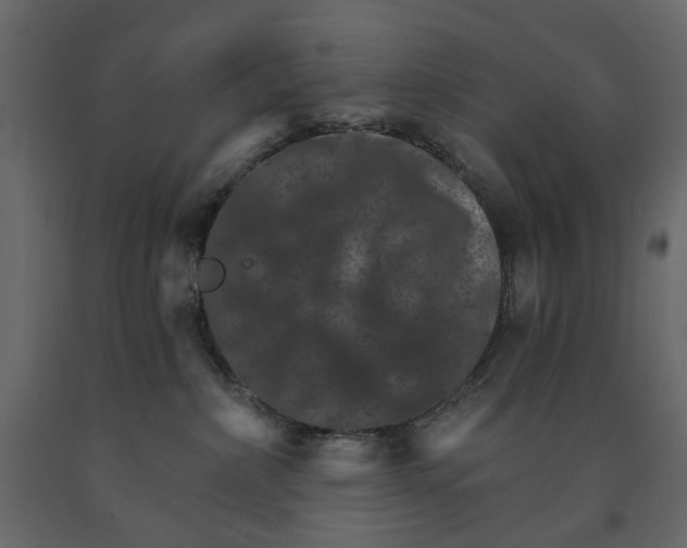 X0000090910236200708271011