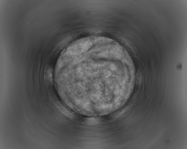 X0000090910238200708271011