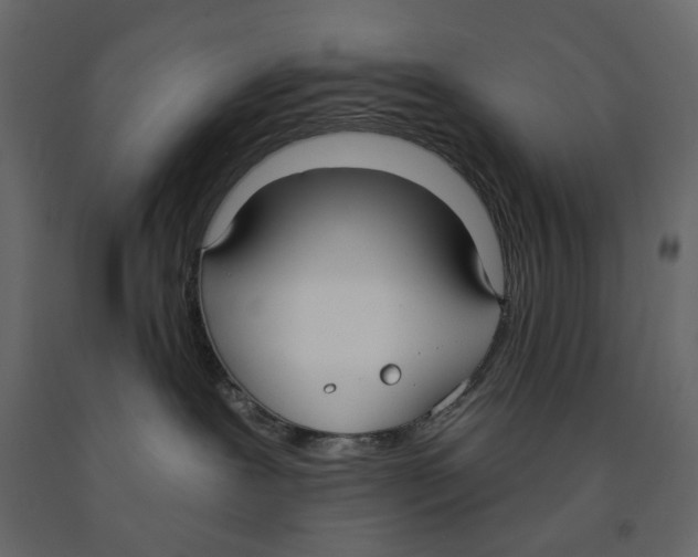 X0000090910239200708271011