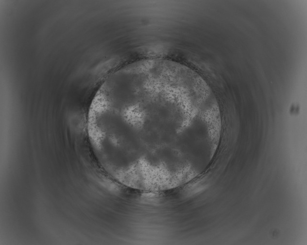 X0000090910240200708271011