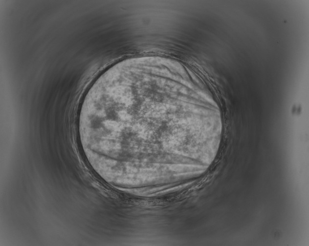 X0000090910241200708271010