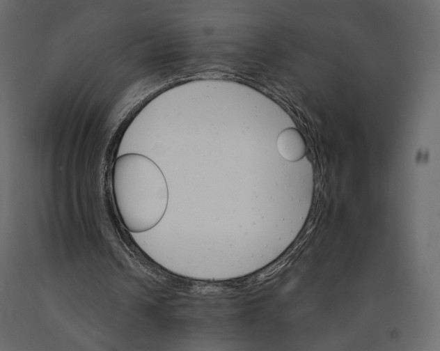 X0000090910242200708271010