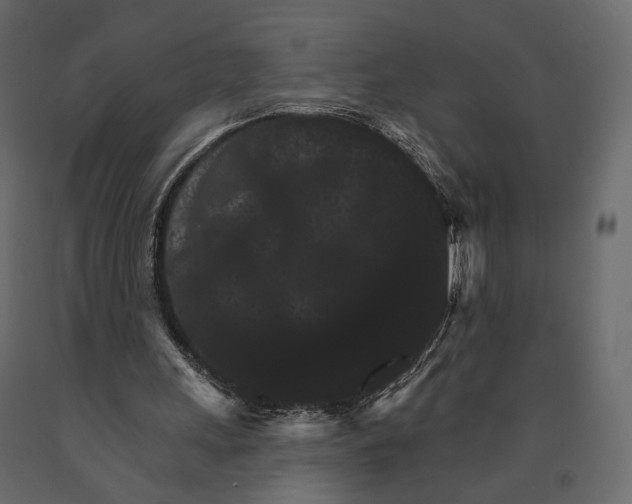 X0000090910243200708271010