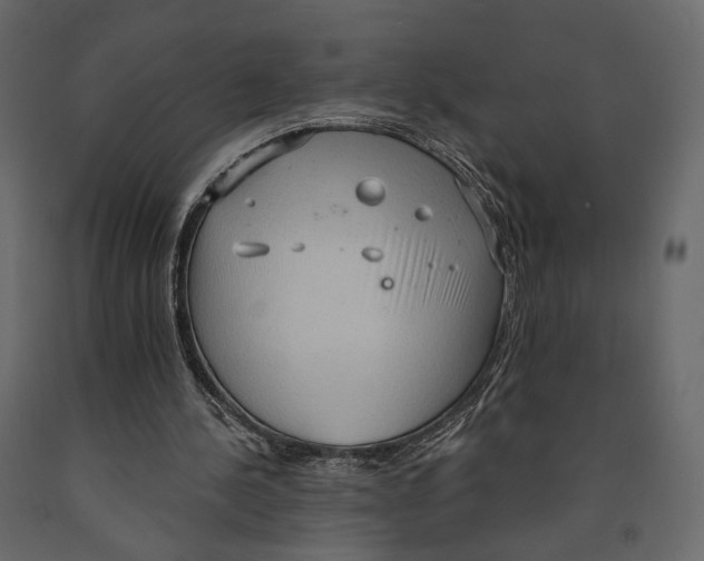 X0000090910244200708271010