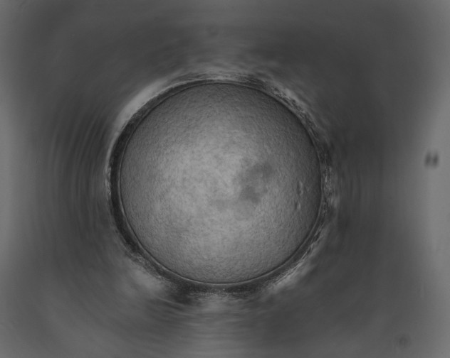 X0000090910246200708271010