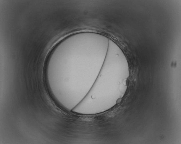 X0000090910247200708271010