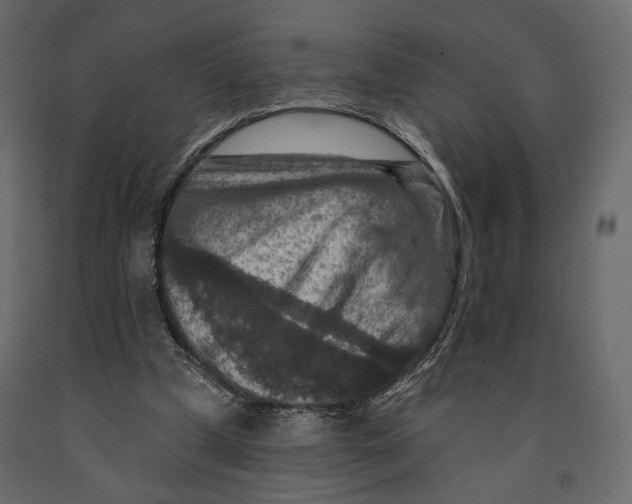 X0000090910249200708271010