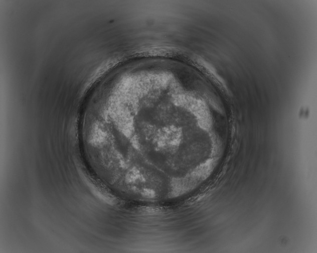 X0000090910250200708271010