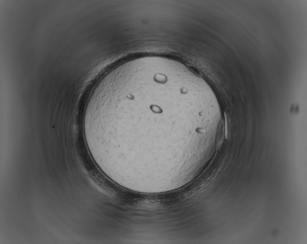 X0000090910252200708271010