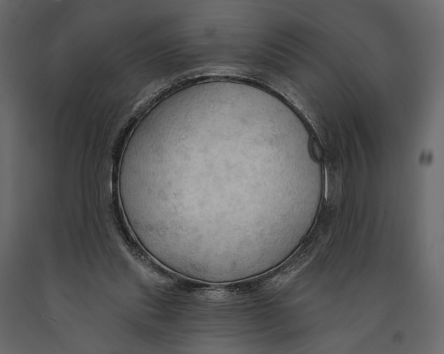 X0000090910253200708271010