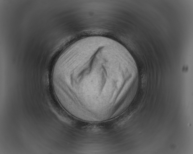 X0000090910254200708271010