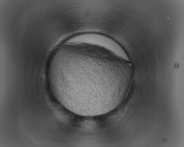 X0000090910256200708271010