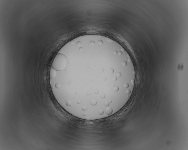 X0000090910257200708271010