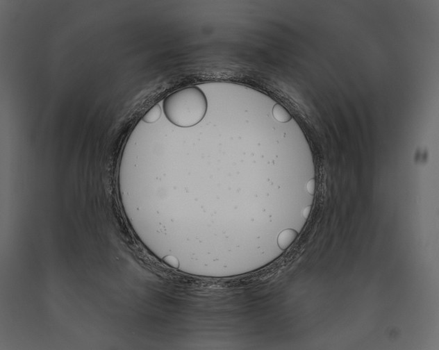 X0000090910258200708271010