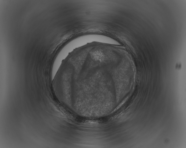 X0000090910260200708271010