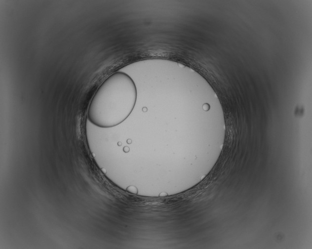 X0000090910262200708271010