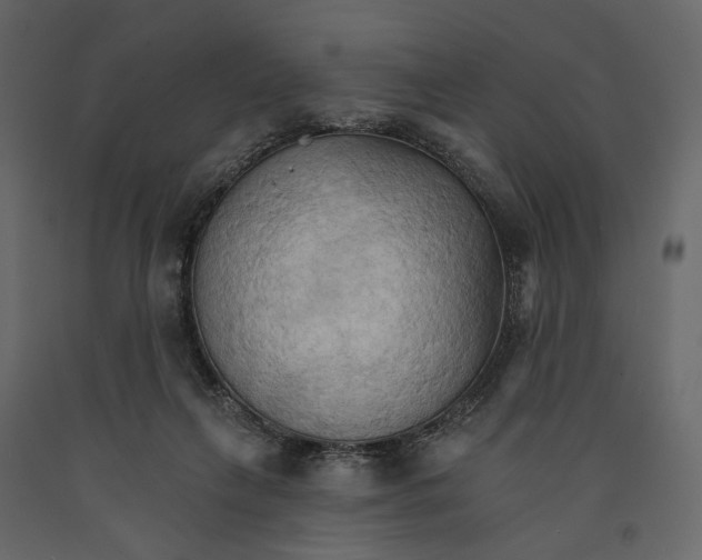 X0000090910263200708271010