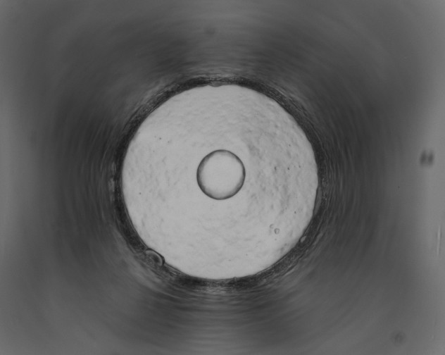 X0000090910264200708271010