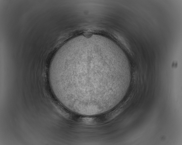 X0000090910265200708271010