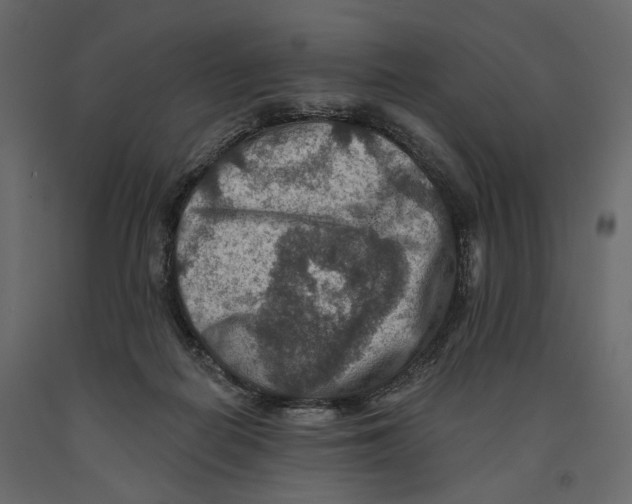 X0000090910266200708271010