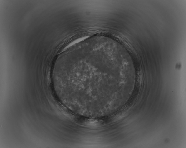 X0000090910267200708271010