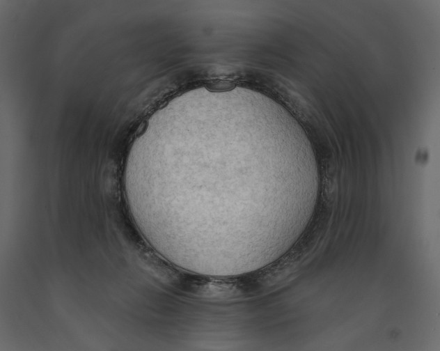 X0000090910270200708271010