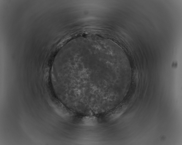 X0000090910271200708271010