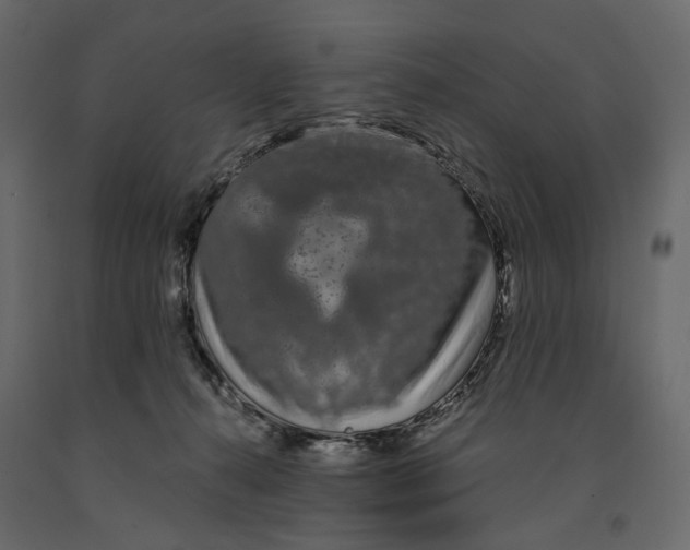 X0000090910272200708271010