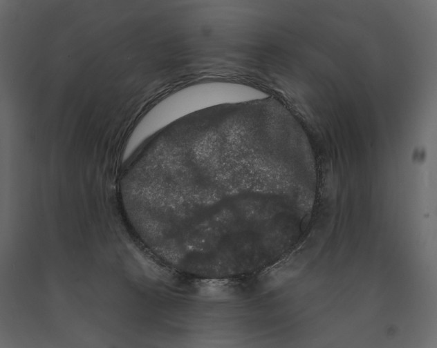 X0000090910273200708271010